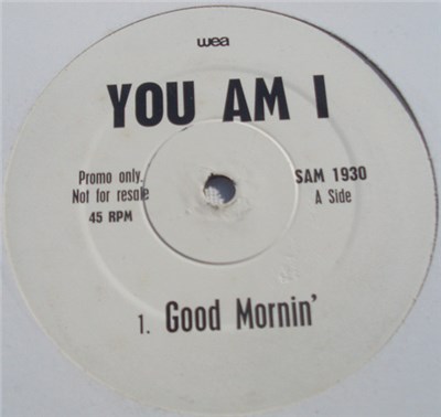 You Am I - Good Mornin' download mp3 flac