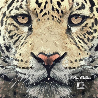 Max Nikitin - WTF download mp3 flac