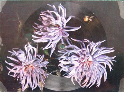 Anna German - Cyganeria download mp3 flac