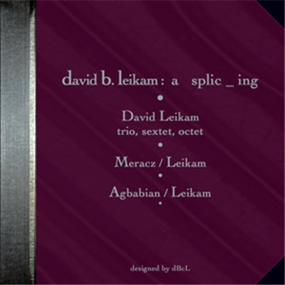 David Leikam - David B. Leikam : A Splic _ Ing download mp3 flac