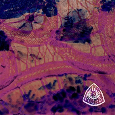 Spanish Moss - Kelp download mp3 flac