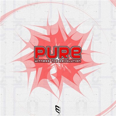 Various - Pure - Witness The Revolution download mp3 flac