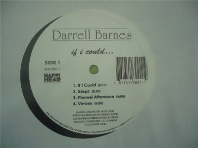 Darrell Barnes - If I Could... download mp3 flac