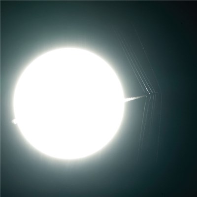 Minus Pilots - The Constellation Walks download mp3 flac