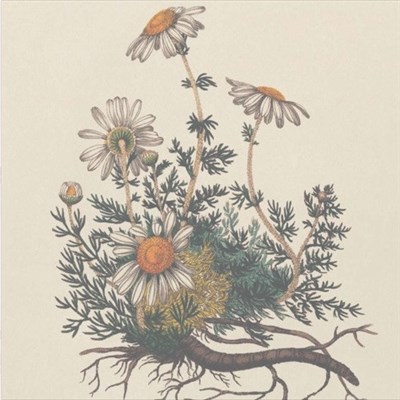 Dalot & Sound Awakener - Little Things download mp3 flac