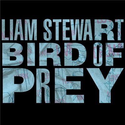 Liam Stewart - Bird Of Prey download mp3 flac