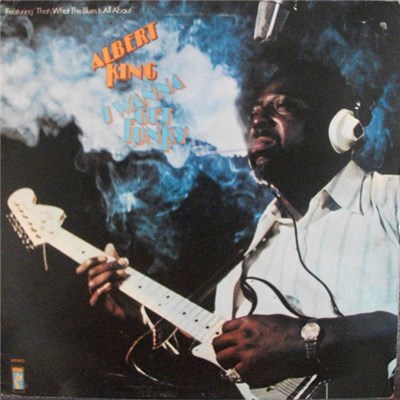 Albert King - I Wanna Get Funky download mp3 flac