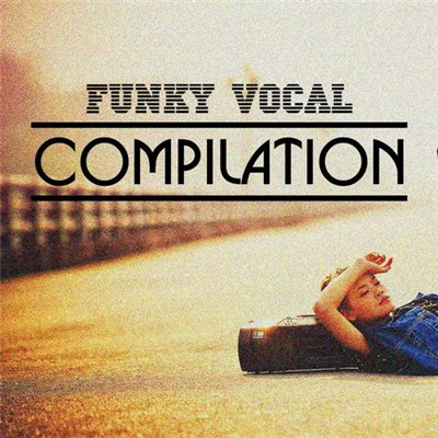 Various - Funky Vocal Compilation download mp3 flac