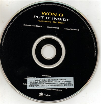 Won-G Featuring Da Brat - Put It Inside download mp3 flac