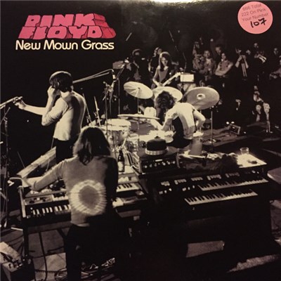 Pink Floyd - New Mown Grass download mp3 flac