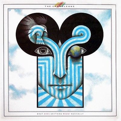 The Chameleons - What Does Anything Mean? Basically download mp3 flac