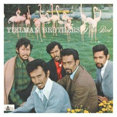 Tielman Brothers - Little Bird download mp3 flac