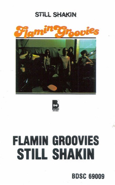 Flamin Groovies - Still Shakin download mp3 flac