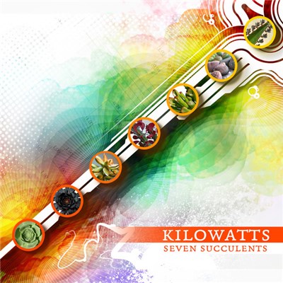 Kilowatts - Seven Succulents download mp3 flac