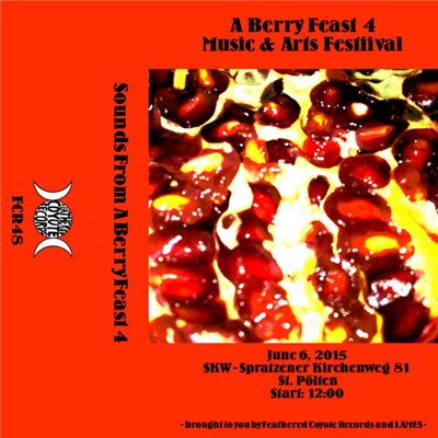 Various - Sounds From A Berry Feast 4 download mp3 flac