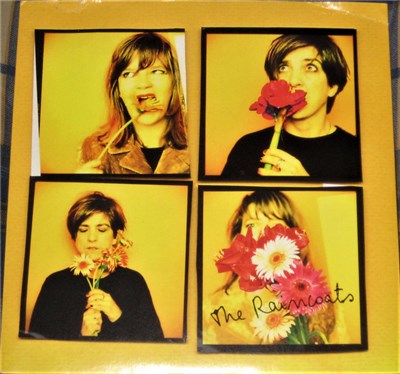 The Raincoats - Don't Be Mean download mp3 flac