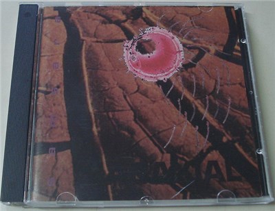 Abaxial - Samsara download mp3 flac
