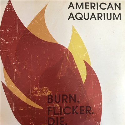 American Aquarium - Burn.Flicker.Die. download mp3 flac