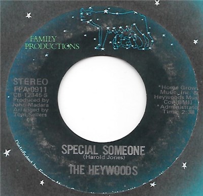 The Heywoods - Special Someone / I Wish I Could download mp3 flac