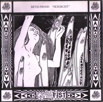 Bevis Frond / Walking Seeds - Sexorcist / Reflections In A Tall Mirror download mp3 flac