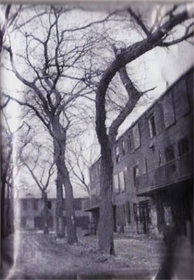 Red Hook - The Light Obstructs Your View download mp3 flac