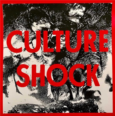 Culture Shock - Culture Shock download mp3 flac