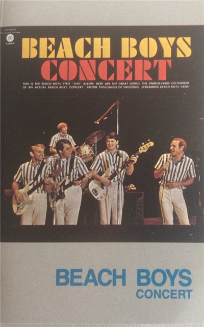 Beach Boys - Concert download mp3 flac