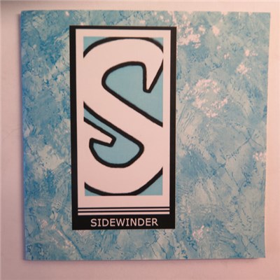 Sidewinder - Siez The Day download mp3 flac