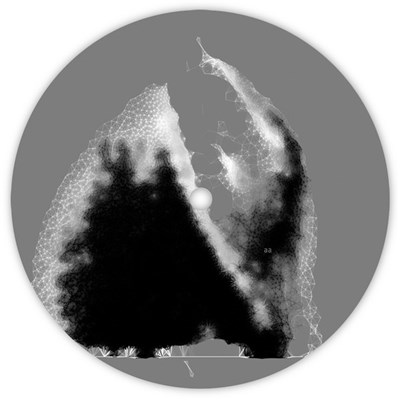 Nino Šebelić - Jupiter EP download mp3 flac