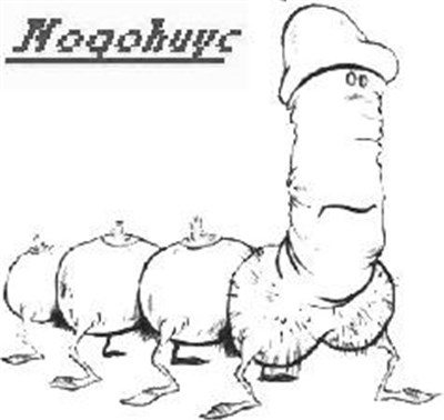 Nogohuyc - Vocal Demo download mp3 flac