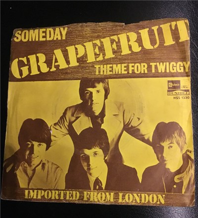Grapefruit - Someday download mp3 flac