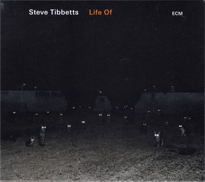 Steve Tibbetts - Life Of download mp3 flac