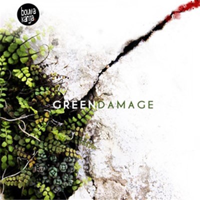 Bouwakanja - Green Damage download mp3 flac