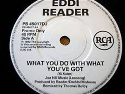 Eddi Reader - What You Do With What You've Got download mp3 flac