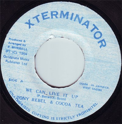 Tony Rebel & Cocoa Tea - We Can Live It Up download mp3 flac