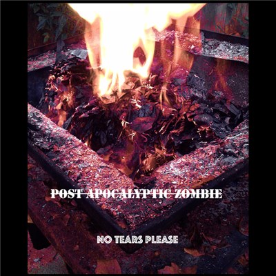 Post Apocalyptic Zombie - No Tears Please download mp3 flac