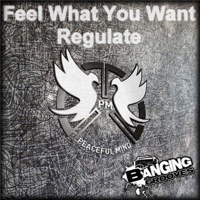 Peaceful Mind - Feel What You Want / Regulate download mp3 flac