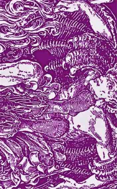 A Pregnant Light - The Feast Of Clipped Wings download mp3 flac