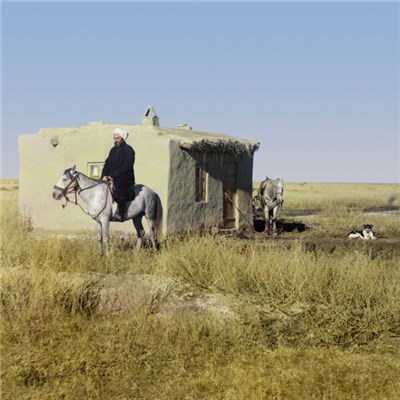 The Forced Oscillations - Les Monuments De Tristesse download mp3 flac