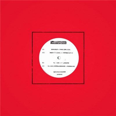 Various - Directors Cut download mp3 flac