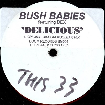Bush Babies Featuring DEX - Delicious download mp3 flac