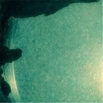 Indelible Horse - Chosen By A Bear And Created With A Microwave download mp3 flac