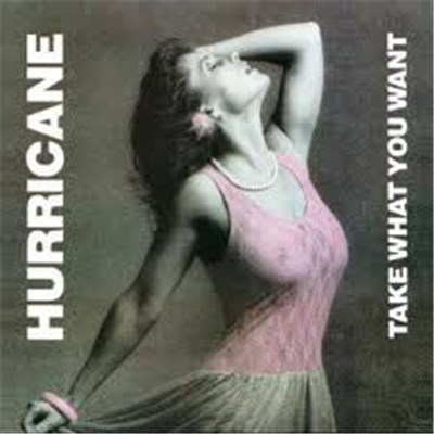 Hurricane - Take What You Want download mp3 flac