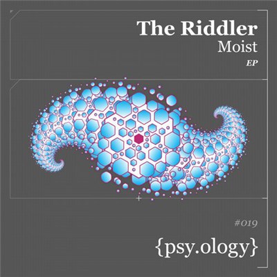 The Riddler - Moist download mp3 flac