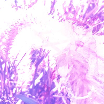 Tiku Sens - Jelly Apricot download mp3 flac