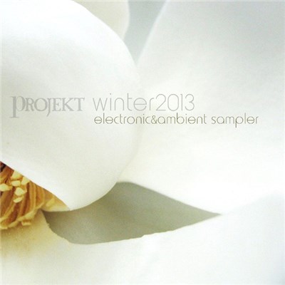 Various - Free Electronic & Ambient Sampler download mp3 flac