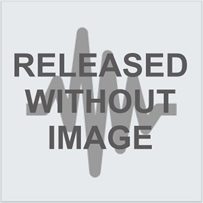 Queen + Paul Rodgers - Guitar Solo (Vienna 13 April 2005) download mp3 flac