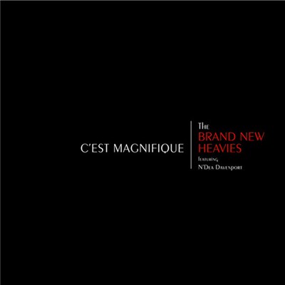 The Brand New Heavies Featuring N'Dea Davenport - C'est Magnifique download mp3 flac