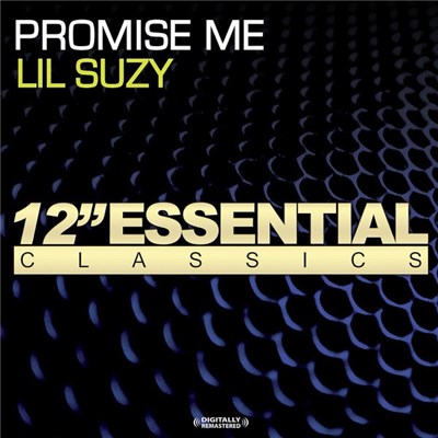 Lil Suzy - Promise Me download mp3 flac