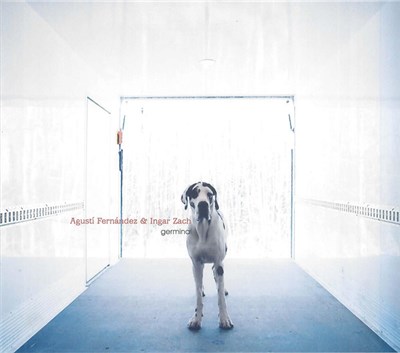 Augustí Fernández & Ingar Zach - Germinal download mp3 flac